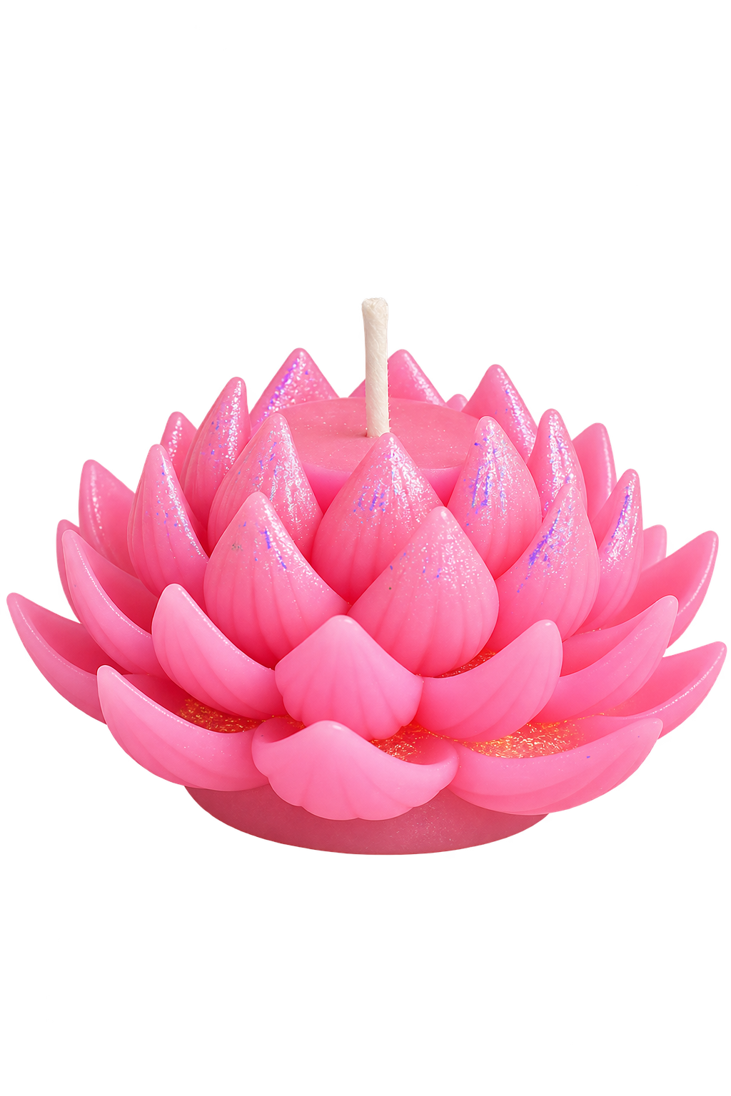 Lotus Bloom