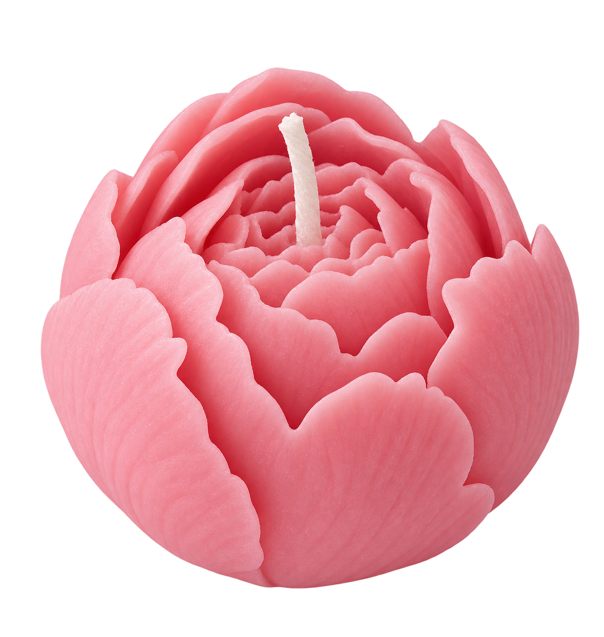 Peony Blush
