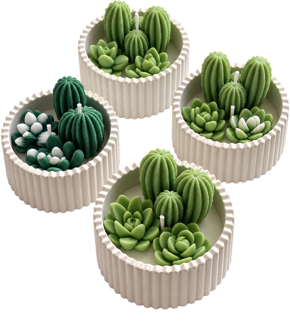 Cactus Garden