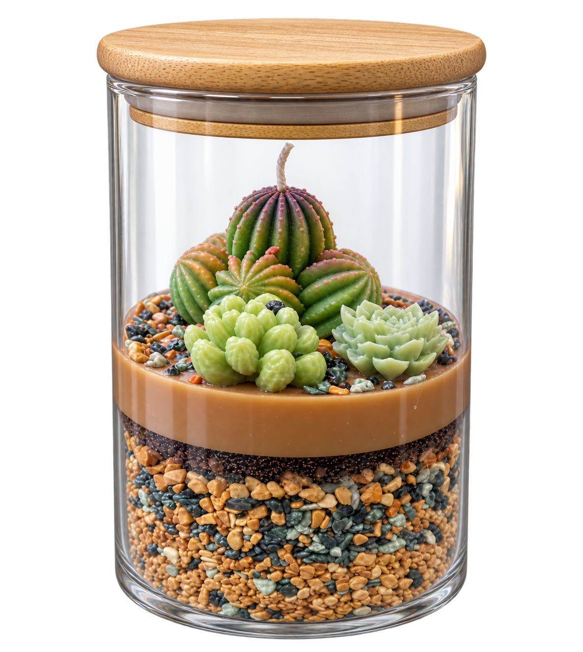 Desert Garden
