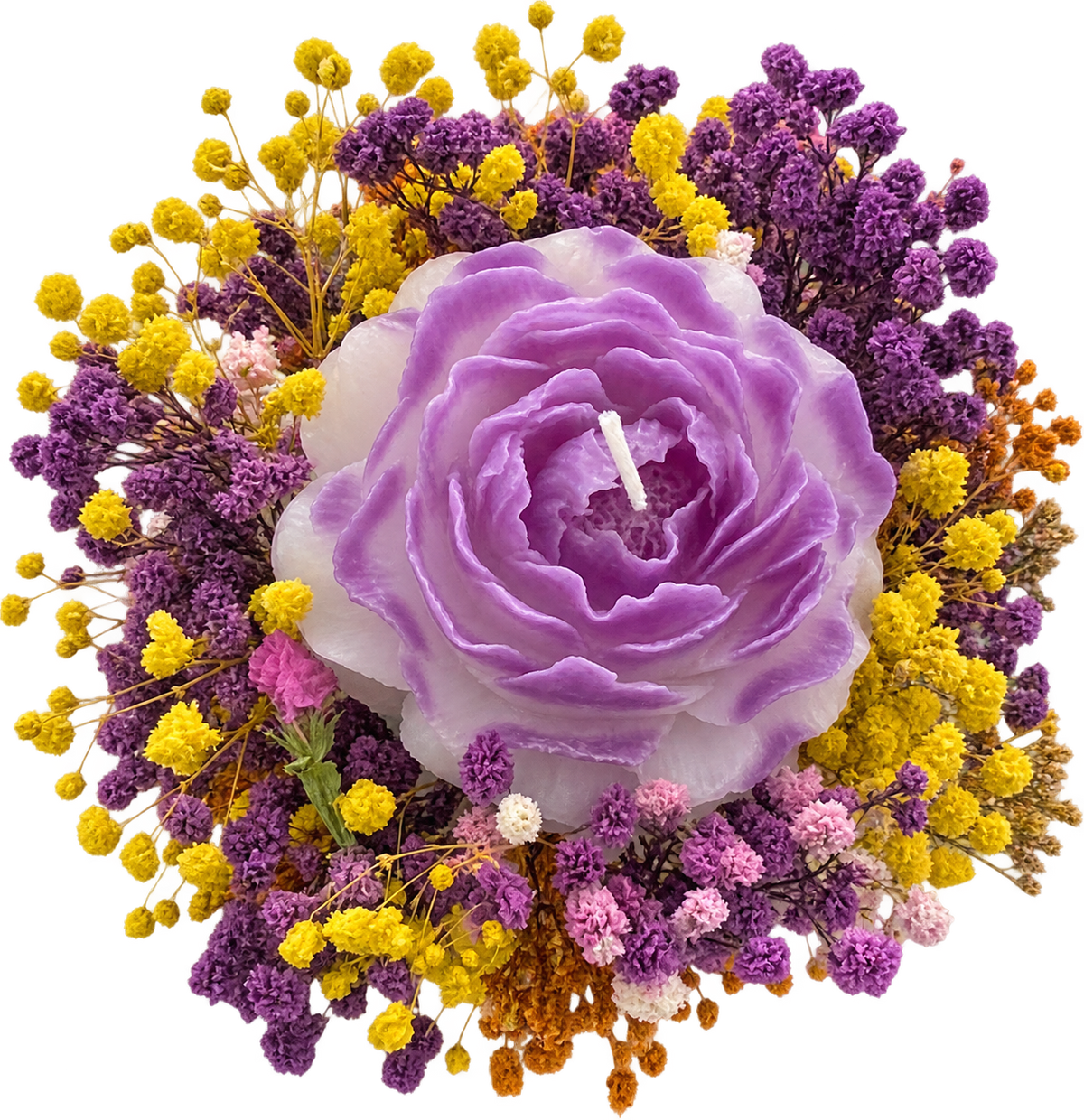 Golden Lavender