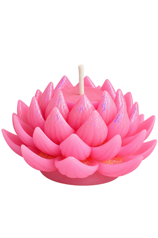 Lotus Bloom