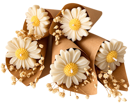 Daisy Wishes