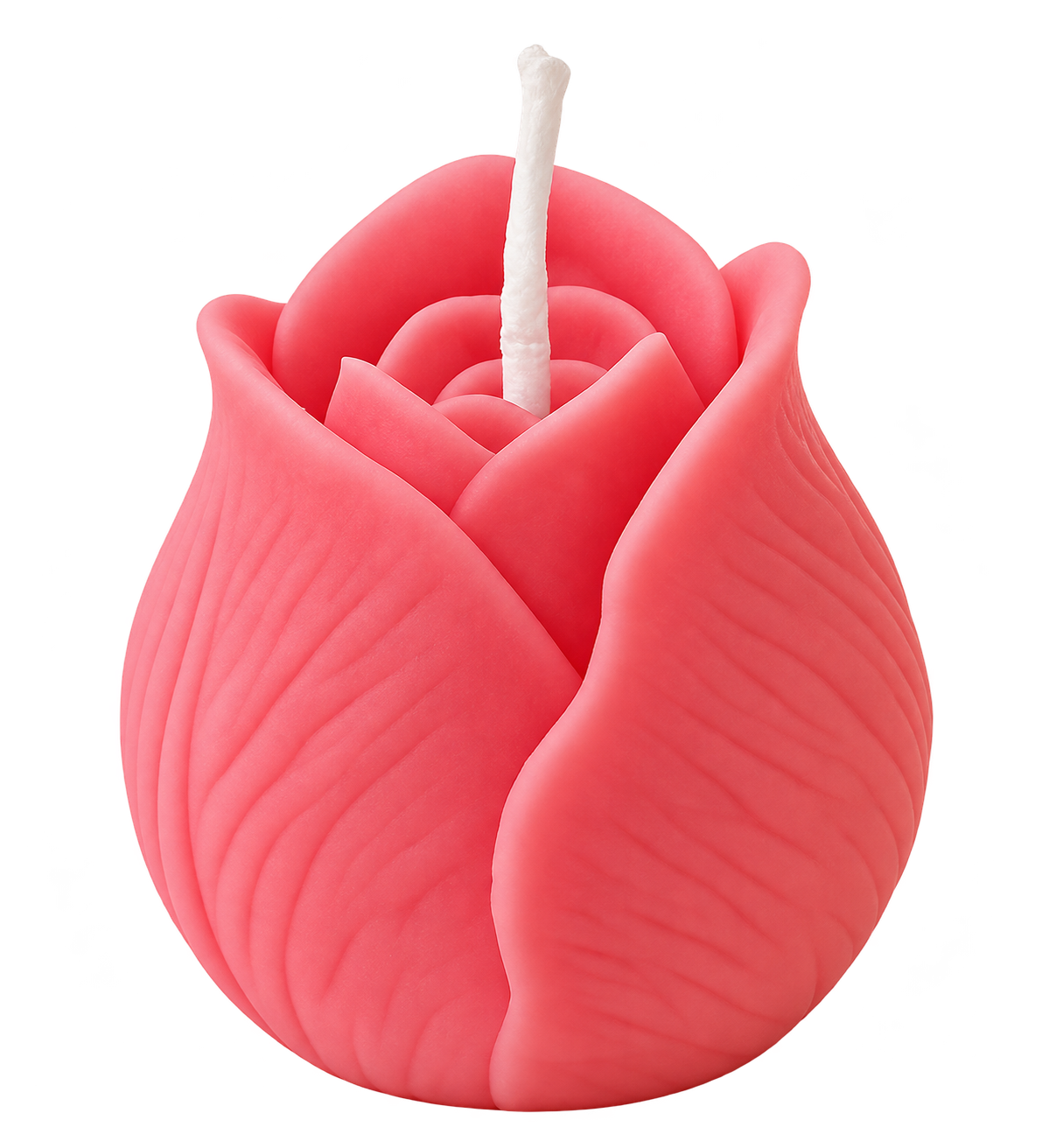 Tulip Kiss