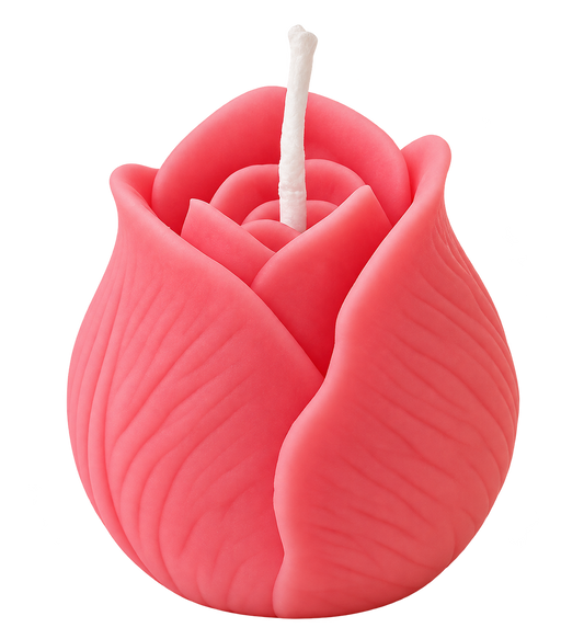 Tulip Kiss