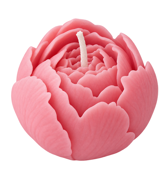 Peony Blush
