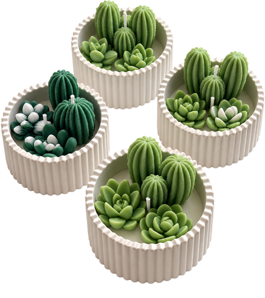 Cactus Garden